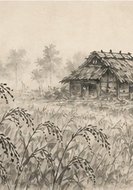 秋の田と小屋